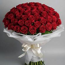 Букет 101 Красная роза Блэк Мэджик в Мескер-Юрте