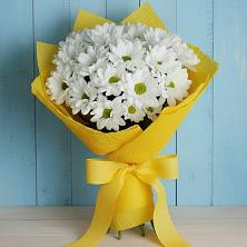 Букет цветов из:  Хризантемы в Мескер-Юрте