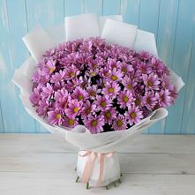 Букет цветов из:  Хризантемы в Мескер-Юрте