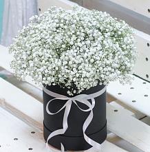 Цветочная композиция из Гипсофила в шляпной коробке #REPLACE_PRED# Мескер-Юрте