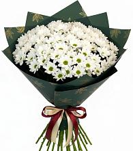 Букет цветов из:  Хризантемы #REPLACE_PRED# Мескер-Юрте