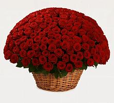 Премиум букет из: Розы в Мескер-Юрте