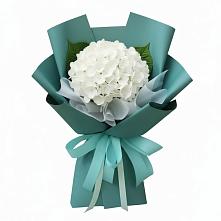 Букет цветов из:  Гортензия #REPLACE_PRED# Мескер-Юрте